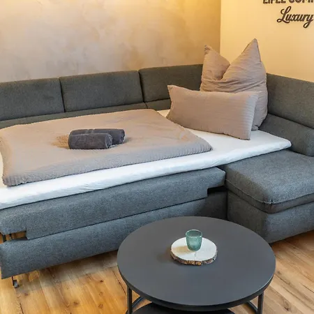 Appartement Eifel Comfort Luxury Mit Privatem Whirlpool & Sauna Pronsfeld